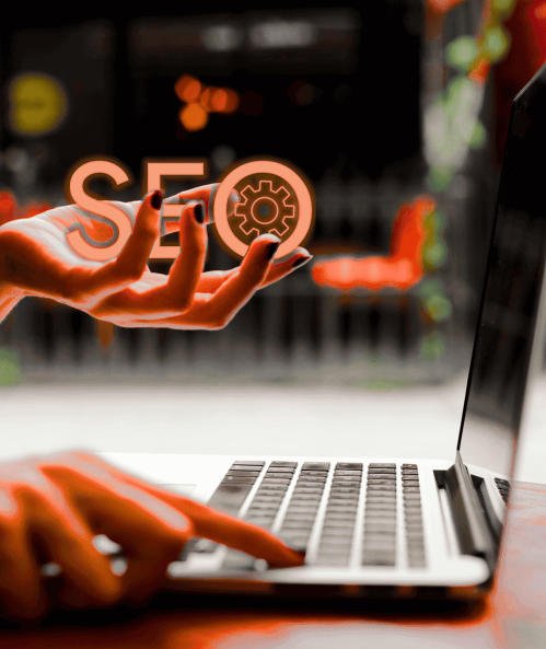 Digital Marketing Portfolio