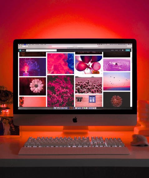 Digital Marketing Portfolio